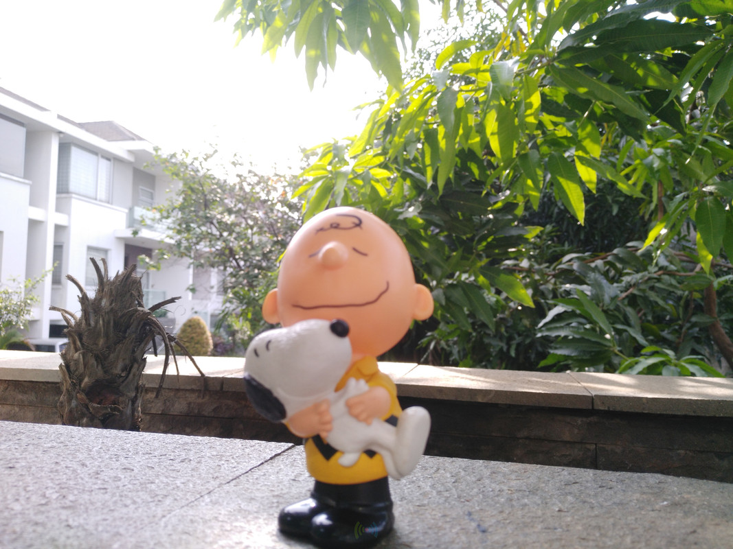 Vivo V5 Plus - Hasil Kamera Depan 1