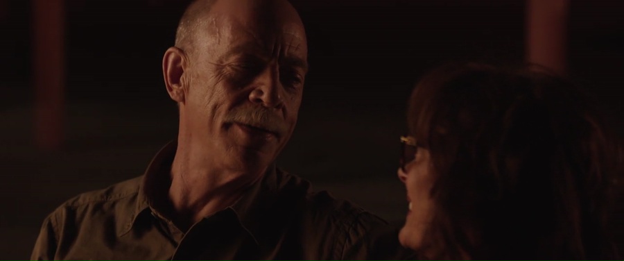 The Meddler 2016 BluRay [Hindi + English] 480p, 720p ESub Screenshot