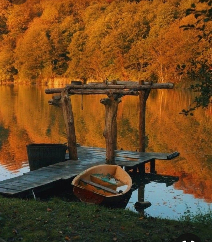 Screenshot_20231126_214732_Pinterest