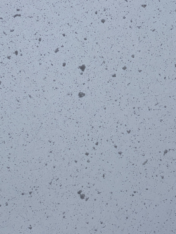 08791903-AB29-423B-9097-9BB2D7F42BD6