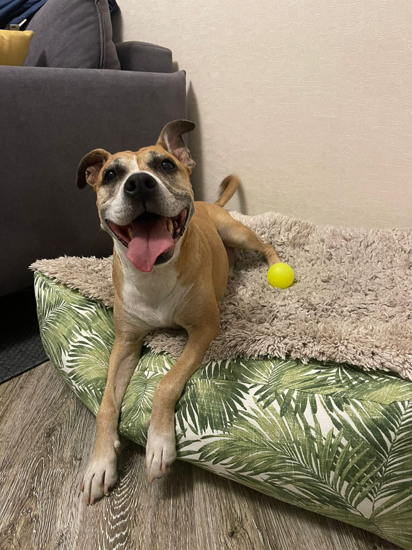 609D953B-0433-4B72-A37D-EC501E5724B9