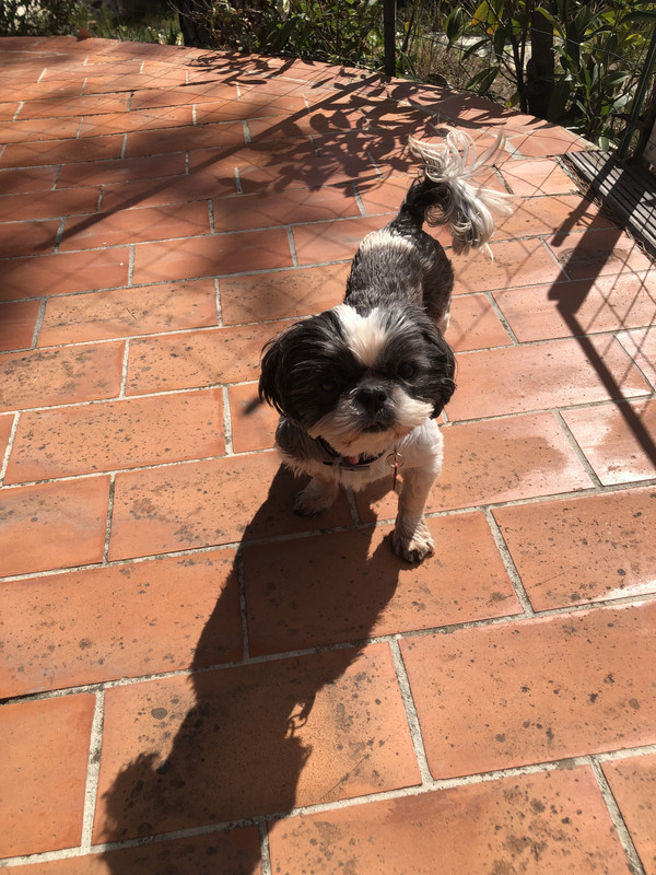 [Image: 5-B671257-4-D78-412-D-A004-40-E2020-EC9-CB.jpg]