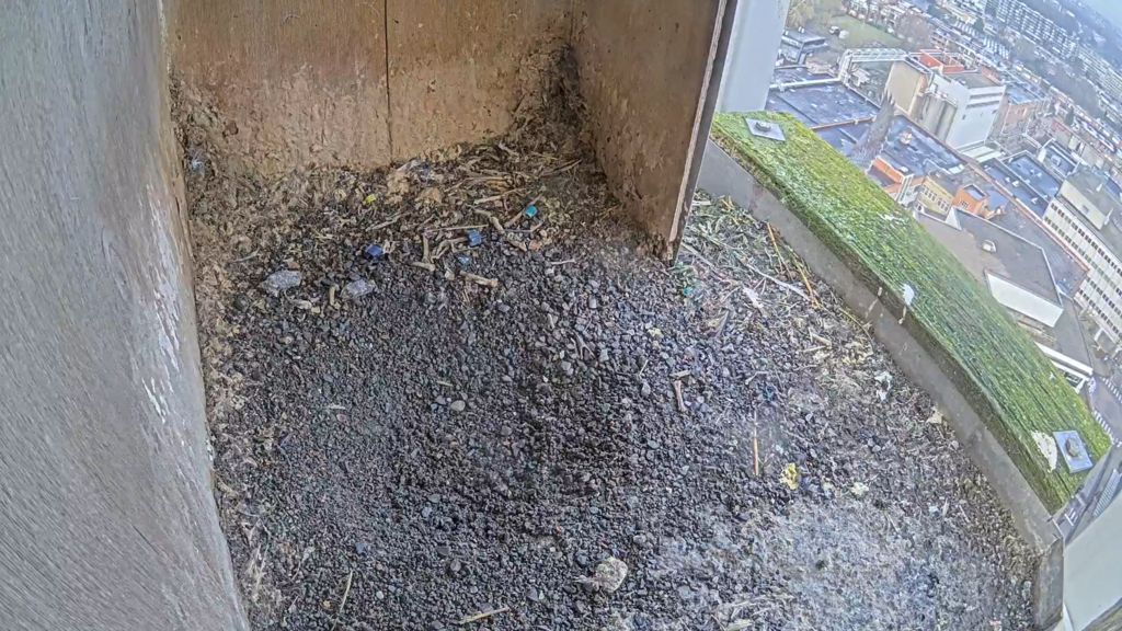 Schermafbeelding 2025-01-31 093726