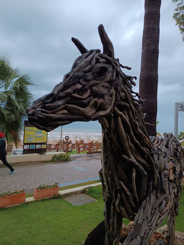 IMG_20230114_194814_803