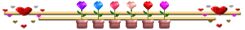 2224735-Ce-J9kcl-A.gif