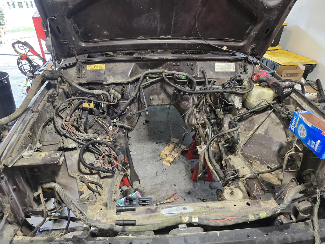 Stripping-bay.jpg