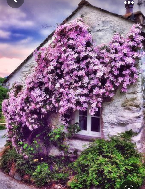 Screenshot_20231102_194435_Pinterest