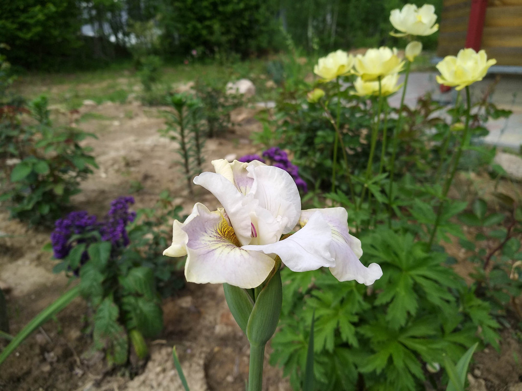 IMG_20190601_114749