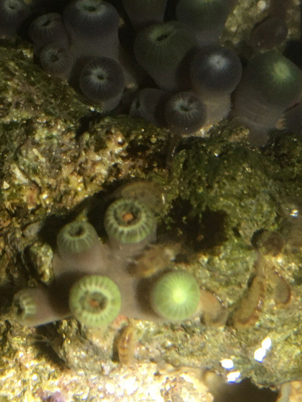 6477638C-AC1F-4EEC-9ED6-6BD1D17C568F