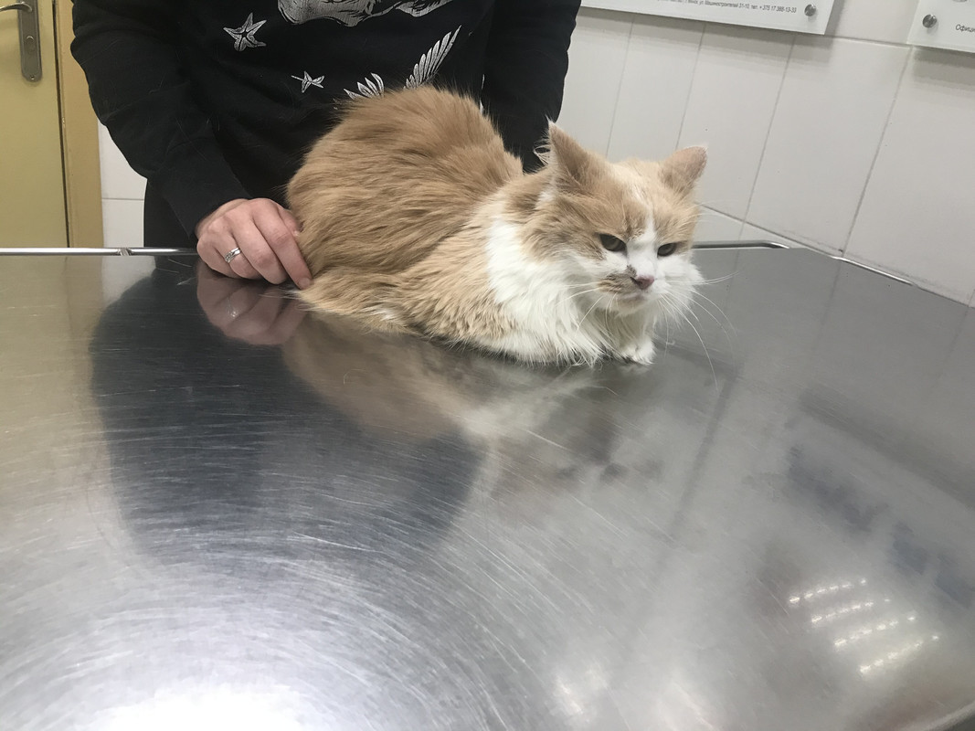 AF450D75-8BC7-4B15-8A0B-082859A1DC32