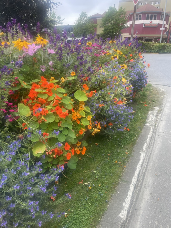 B4E7766D-82EB-4192-AE67-E96B45BF3C1A_1_105_c