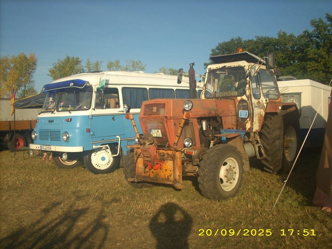 DSCI3161