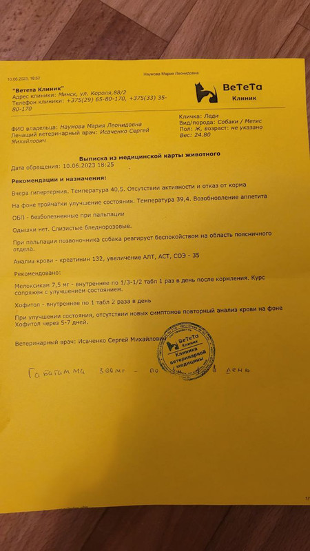 photo_2023-06-10_23-12-41 (2)