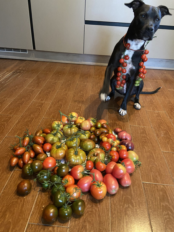 AF4B8021-A092-4116-90DB-A2265534FA4D