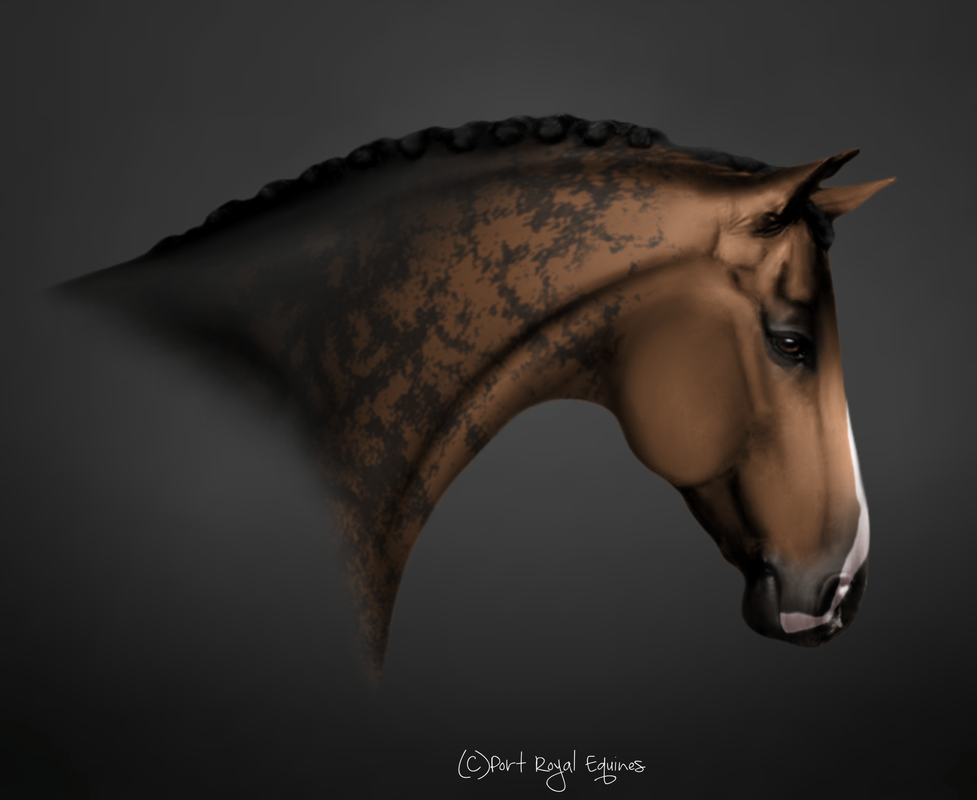 Untitled213_Restored4_20250113222801