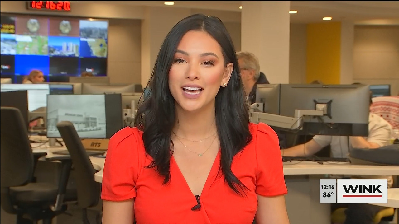 11.01 - 16.00.00 - The WINK Noon News  ᴺᵉʷ. Midday news update..ts_snapshot_22.28.799