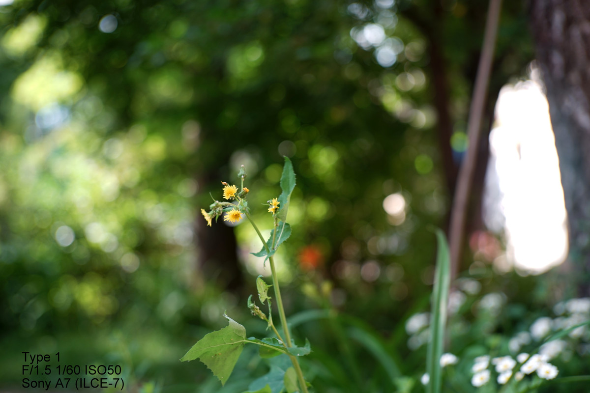 01 — Postimages
