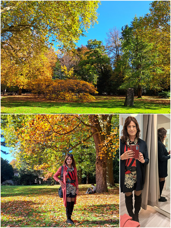 Externes Bild, es gelten die Datenschutz- und Nutzungsbestimmungen der ausgewählten Seite.