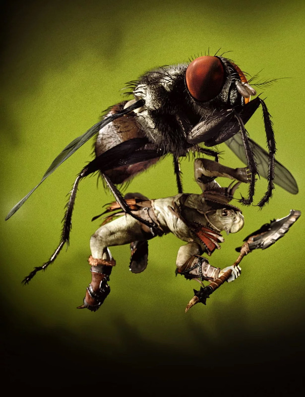 Housefly by AM Housefly by AM