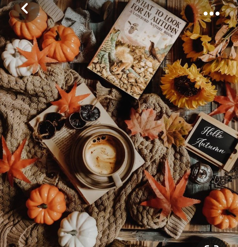 Screenshot_20231015_205434_Pinterest