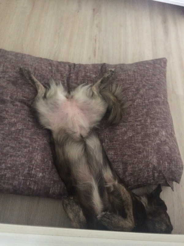 708F1131-563B-458A-AC0F-28DED5501C9A