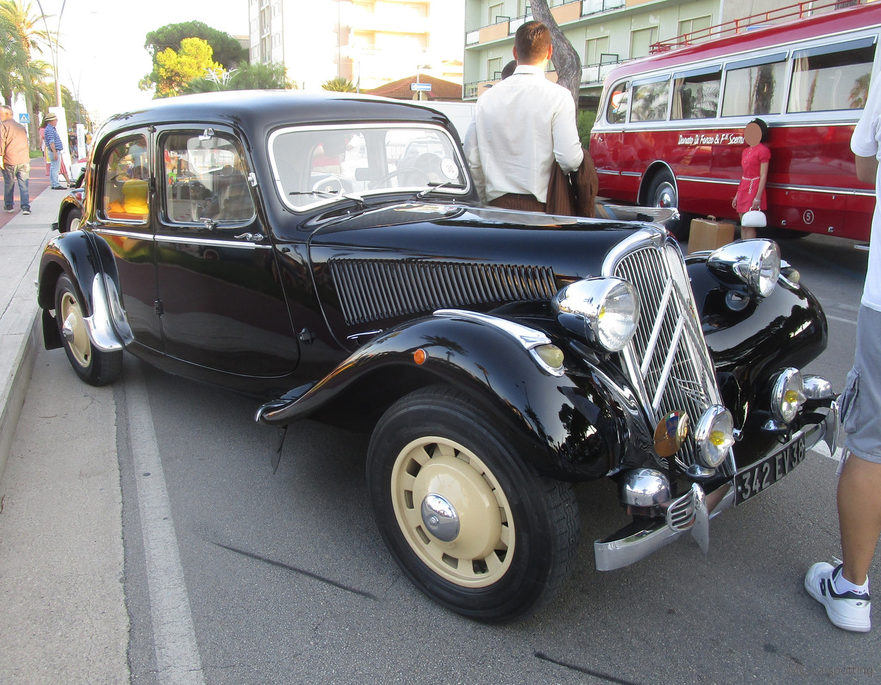 IMG-8987.jpg