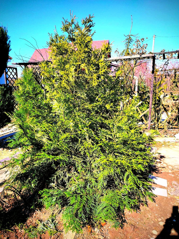 IMG-7c23d887c3a854177be86f6ed7531fec-V~2