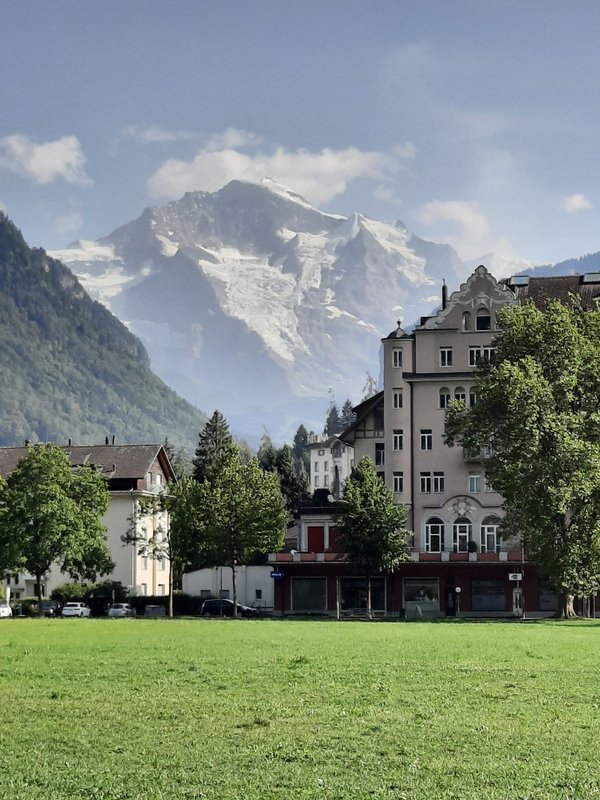 Suiza: nueve días en transporte público. - Blogs de Suiza - Dia 23. Interlaken: Harder Kulhn (4)