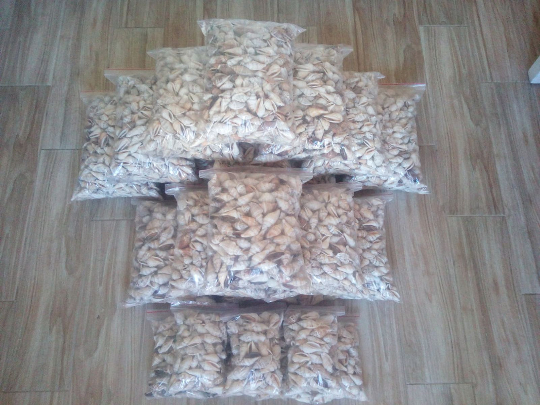 IMG-e10ca0175c5ef29feae880be3c707529-V (1)