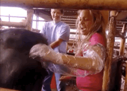 nicole.gif