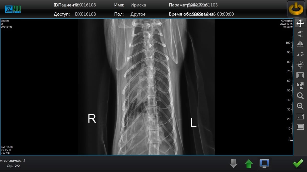 WhatsApp Image 2022-12-17 at 02.13.50 (1)