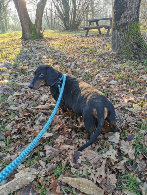 [Image: image000000-149.jpg]