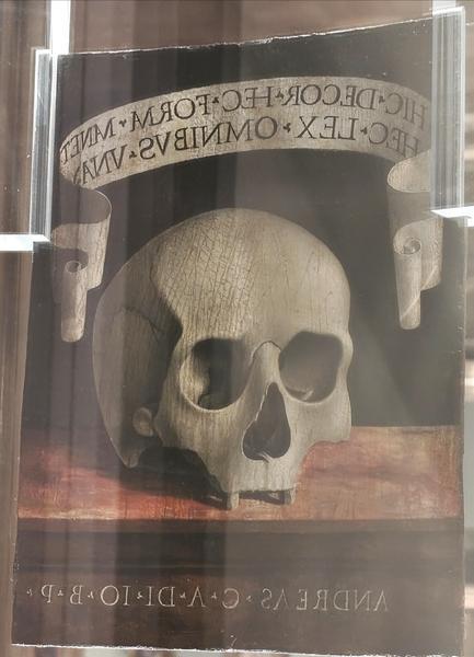 Milán-Turín-Génova-Pavía - Blogs de Italia - Pavía: la famosa batalla y sus torres medievales (208)