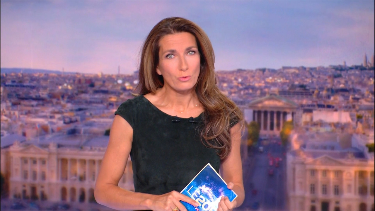 2022-09-30_20_00_TF1_Le-20h.mp4_snapshot_03.17.715