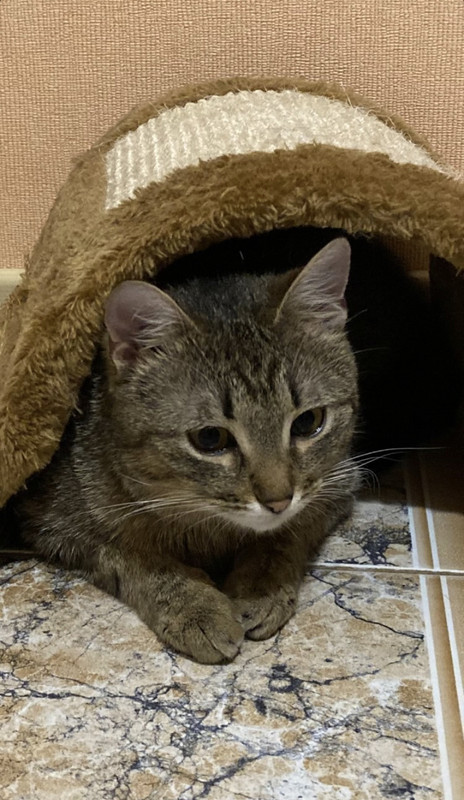 3177E0D5-DC8A-46ED-BB5A-D618345852F7