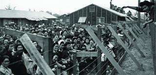 forced-internment-japanese-americans.jpg