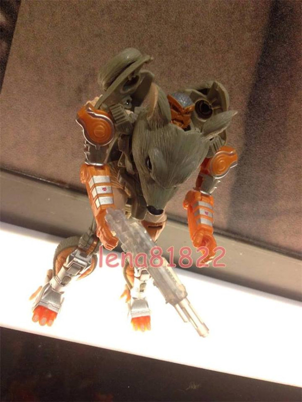 1186245_629386917147721_2187136293867745785_n