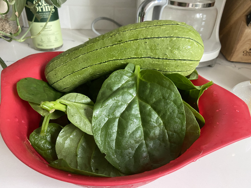 C4BBC279-199A-42BF-B2AC-25444822DA51