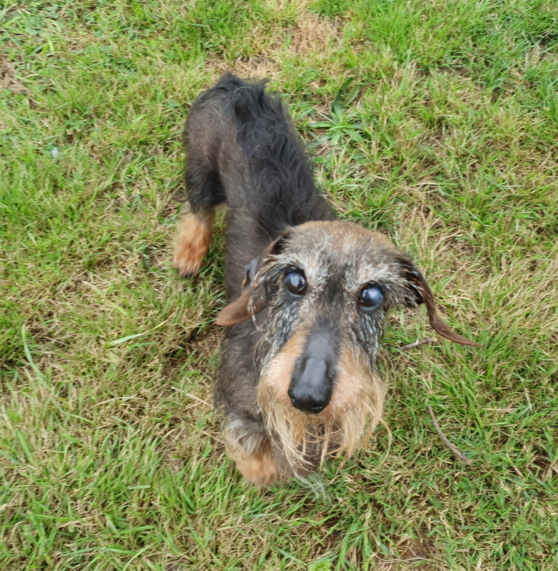 [Image: 20210919-175626.jpg]