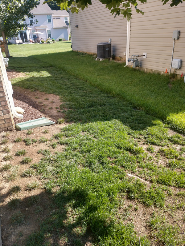 IMG_20180630_180354543_HDR