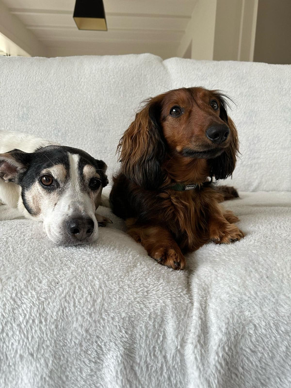 [Image: IMG-20240228-WA0022.jpg]