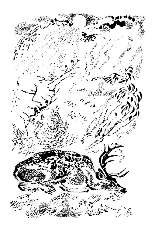 1993-page-0153