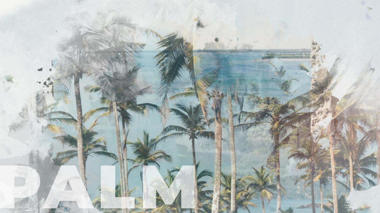 Summer Vacation II - 1