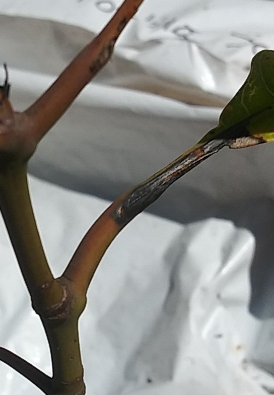 20190307_123745-1
