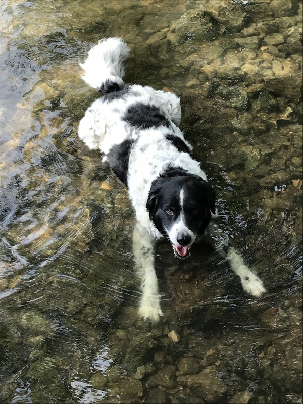 BF6C0EB9-B002-431A-AB52-4413C3398520