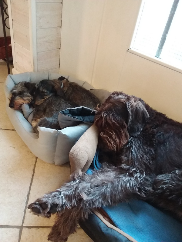 [Image: 20231102-091101.jpg]