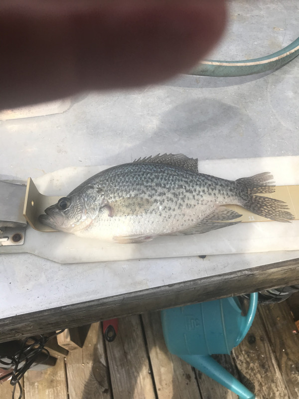 88B495AE-5284-4D10-94A7-913A0EBB43F0