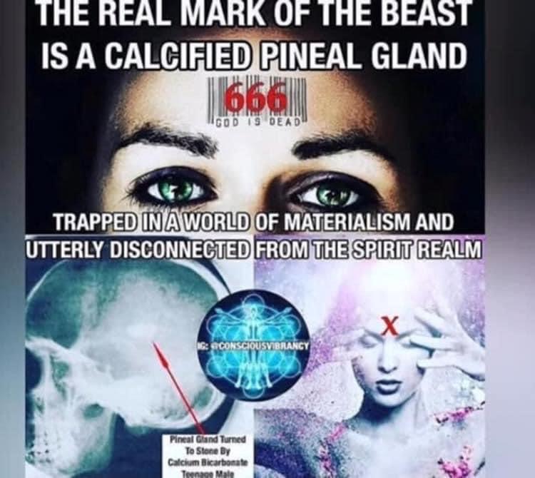 6-F706373-8-A33-4788-BAEA-3611967438-A8.