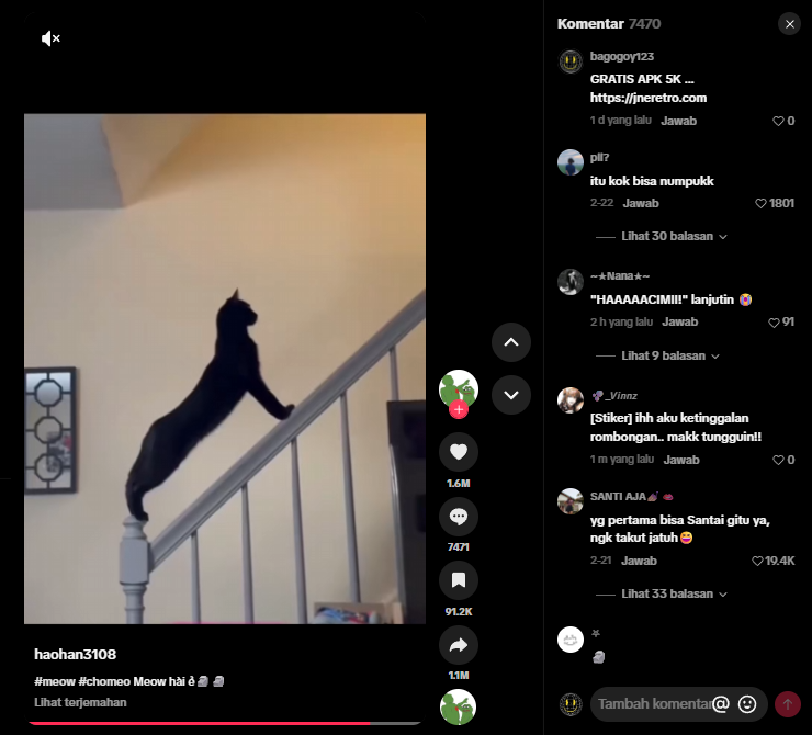 Screenshot 22