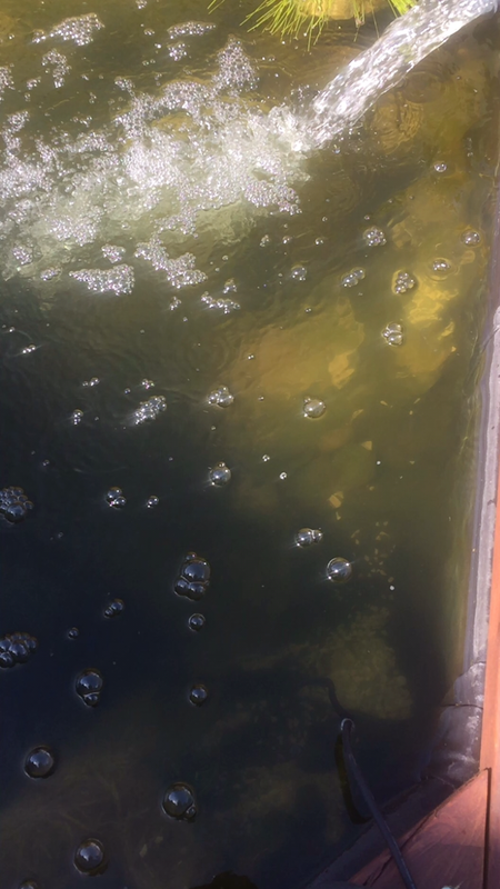 1E8F20DE-C1B2-4DC1-8E1A-7610436FAF71